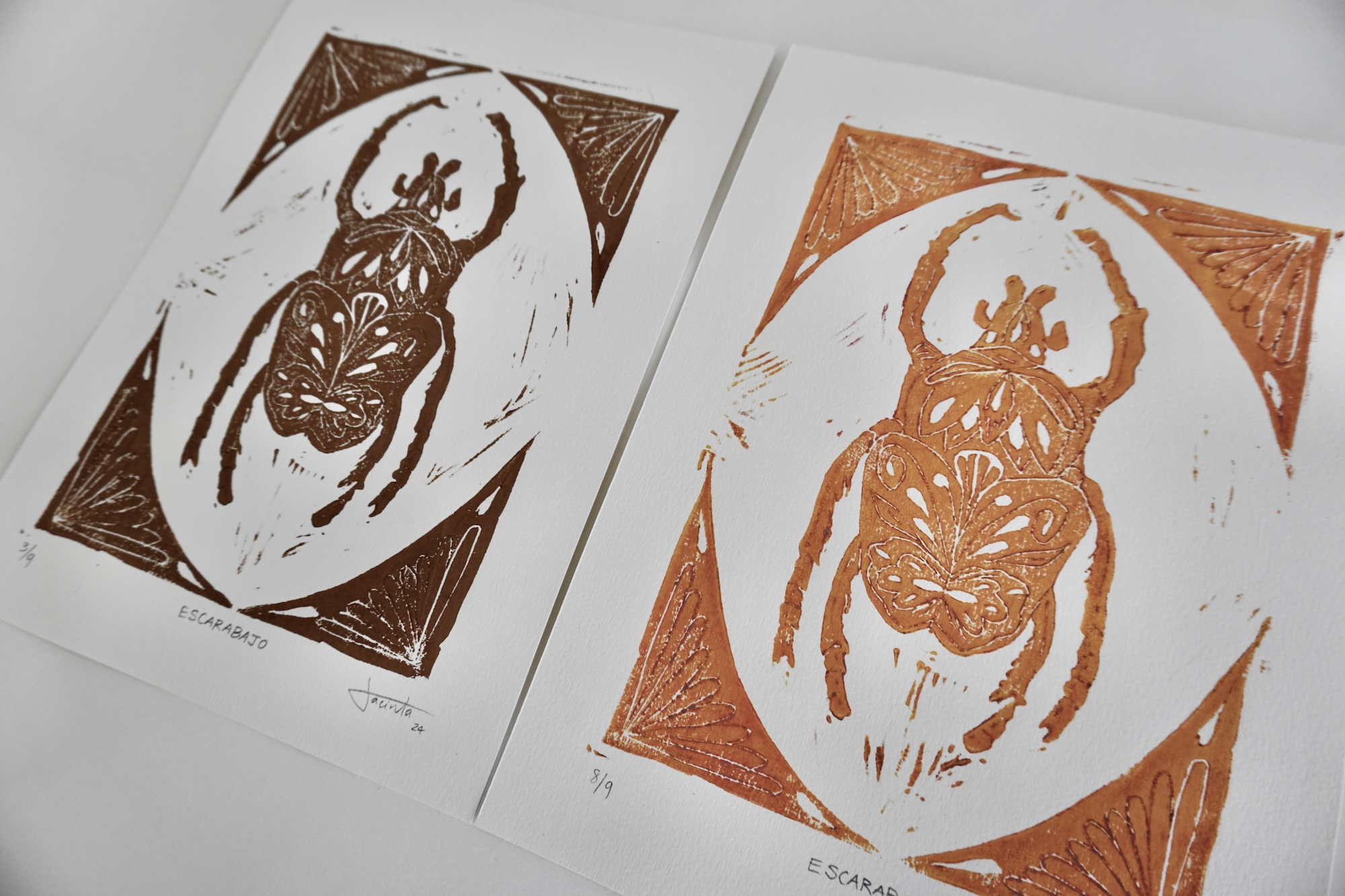 Escarabajo grabado en contexto